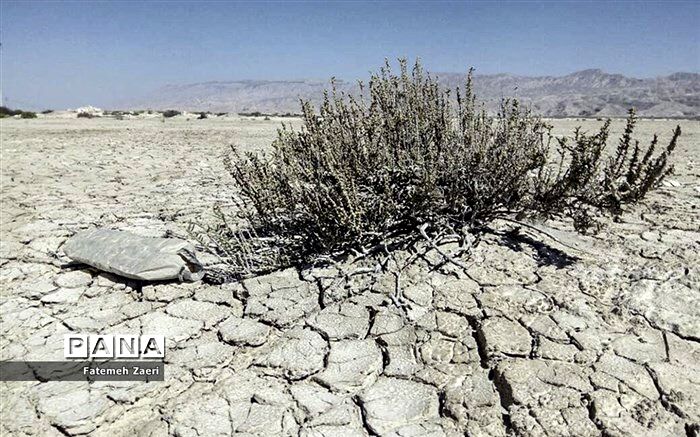 چرا طرح تشکیل وزارت «آب، محیط زیست و منابع طبیعی» مسکوت ماند