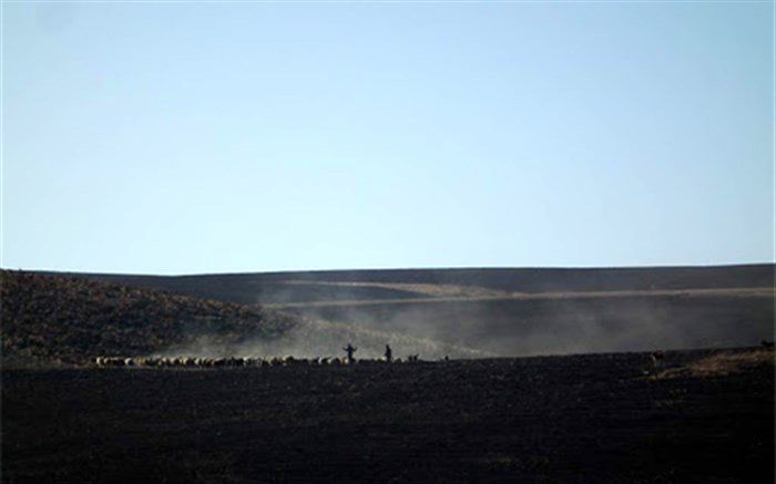 نمایشگاه عکس بهرام باجلان در گالری فرشته