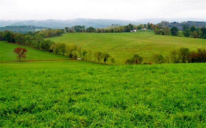 ذوالقدر، عضو فراکسیون محیط زیست مجلس: اجاره مراتع ایران به کشورهای خارجی توجیه اقتصادی و زیست محیطی ندارد
