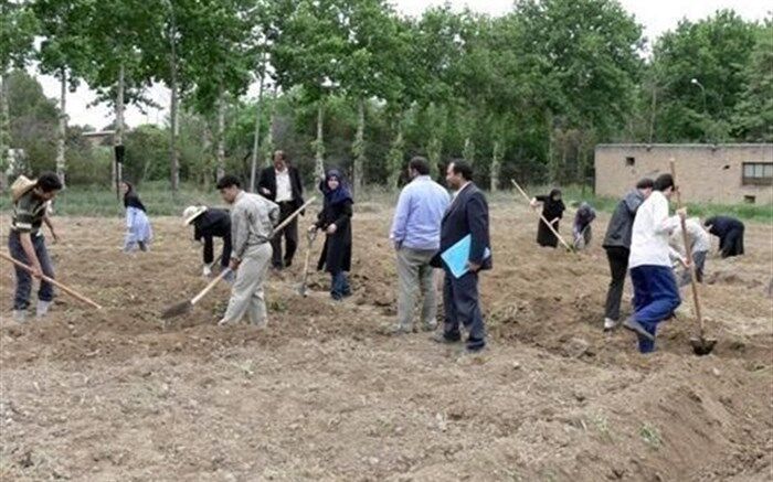 همایش مدیران هنرستان‌های کشاورزی کشور در گنبدکاووس برگزار می‌شود