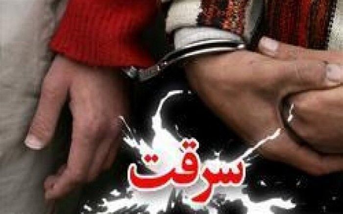 دستگیری اعضای باند قاچاق کولرگازی در حوالی بهشت زهرا