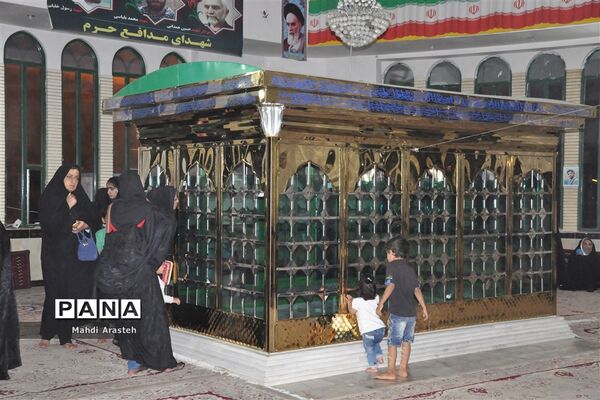 جشن زیرسایه خورشید با حضور خادمان بارگاه منور رضوی درنهبندان