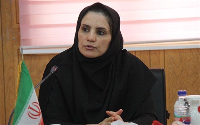سرپرست دفتر امور بانوان و خانواده استانداری بوشهر: مهارت‌آموزی براساس ظرفیت‌های اشتغال‌زایی مورد توجه است