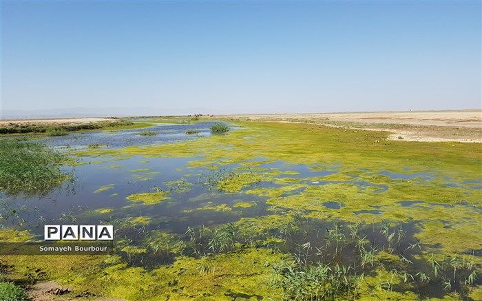یک گام تا نهایی‌سازی برنامه مدیریت جامع تالاب‌های بین‌المللی خور باهو و خلیج گواتر