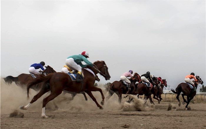 هفته ششم مسابقات اسبدوانی تابستانه در بندرترکمن برگزار شد