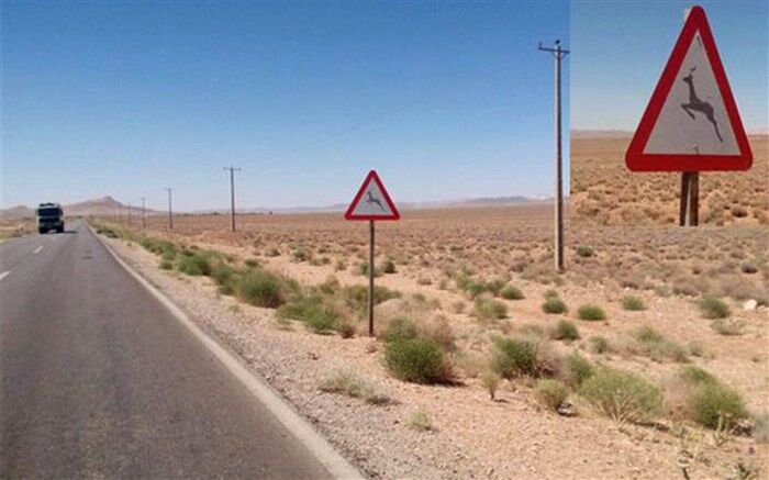 ‍ ‍ نصب تابلوهای هشدار دهنده عبور حیات وحش در ارسنجان