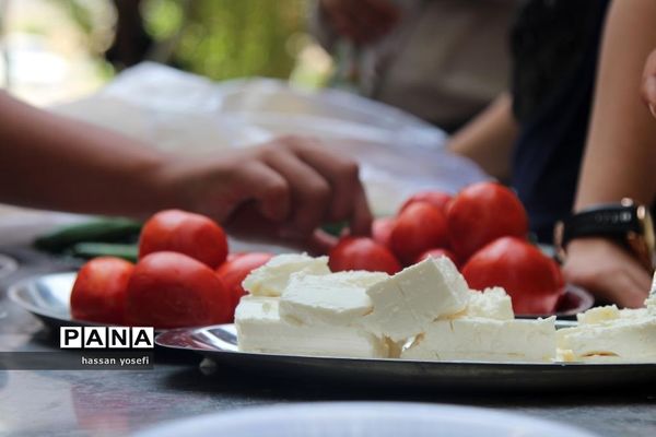 پیش اروی پیشتازان پسر قم در اردگاه ملا صدرا کهک برگزار شد