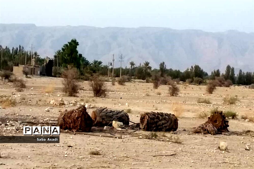 دشت گله دار در حصار خشکسالی