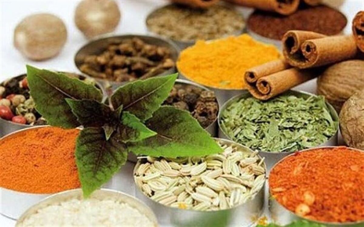 پارک گیاهان دارویی در اردبیل ایجاد می‌شود