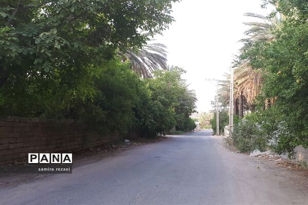خطر تخریب باغ های میوه در خاوران