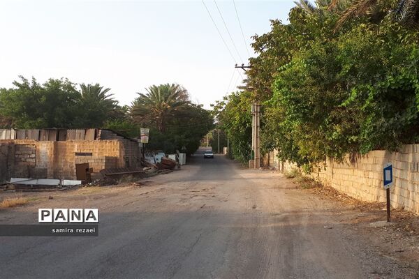 خطر تخریب باغ های میوه در خاوران