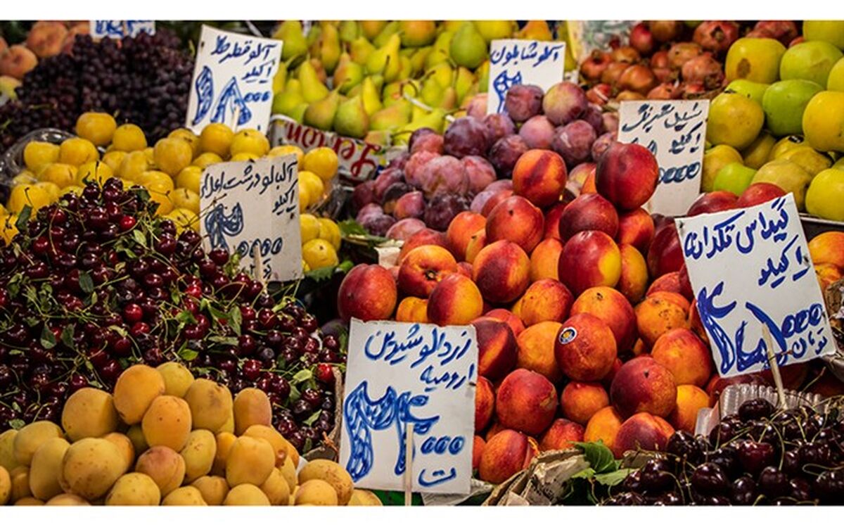 سرخی قیمت میوه در زردی تولید میوه‌های هسته‌دار