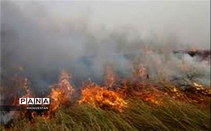 آتش‌سوزی هورالعظیم مهار شد