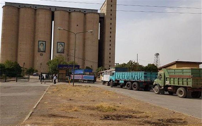 مدیرکل هماهنگی خریدهای داخلی شرکت بازرگانی دولتی:‌ 90 درصد مطالبات کشاورزان برای خرید تضمینی گندم پرداخت شد