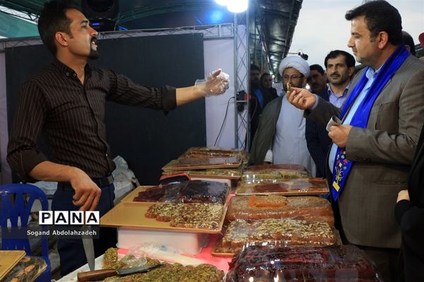 نمایشگاه مهارت‌آموزی در بوستان ملل ساری