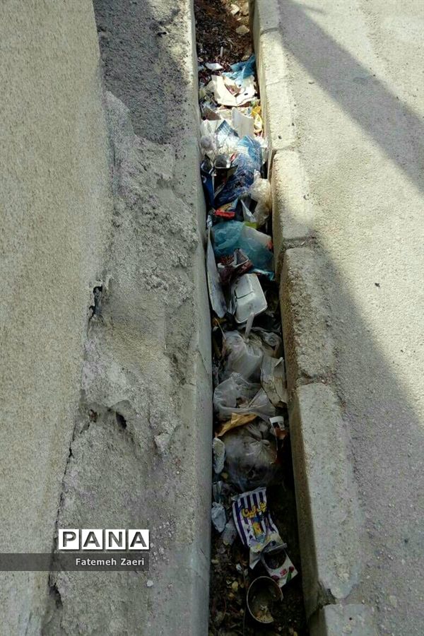 اوضاع نابسامان جمع آوری زباله در لامِرد فارس