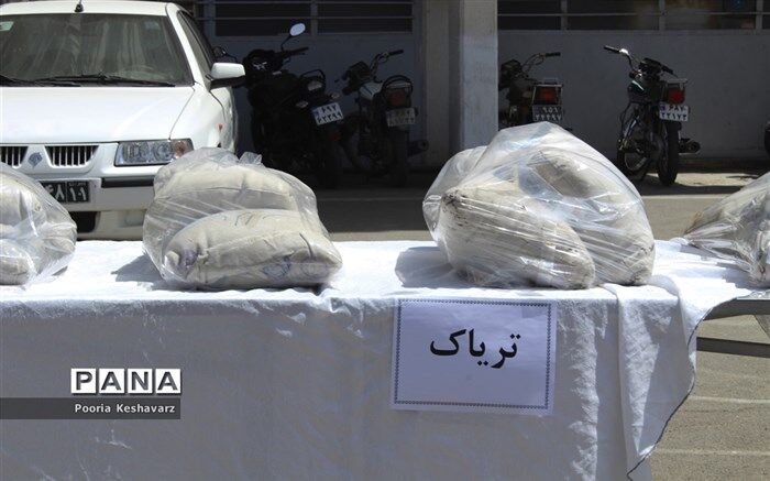 معاون ستاد مبارزه با مواد مخدر: ۳۰ درصد مواد مخدر افغانستان به سمت مرزهای ایران هدایت می‌شود