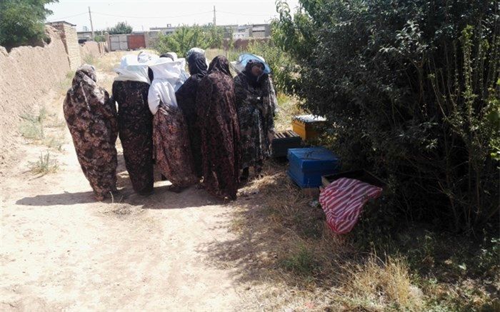 زنان روستایی شهرستان آبیک ؛ اصول و فنون جدید زنبورداری را فرا گرفتند