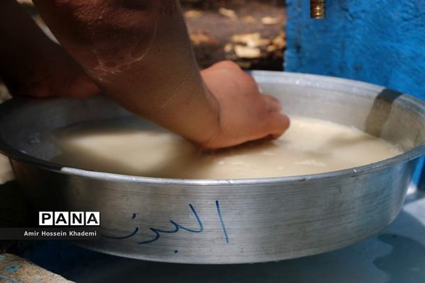 طبخ غذا توسط دانش آموزان البرزی در هشتمین اردوی ملی  پیشتازان کشور