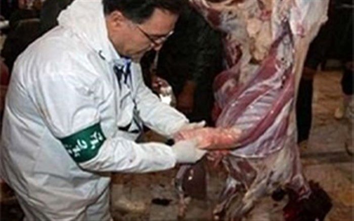 اجرای گشت نظارتی در مراکز عرضه فرآورده های دامی