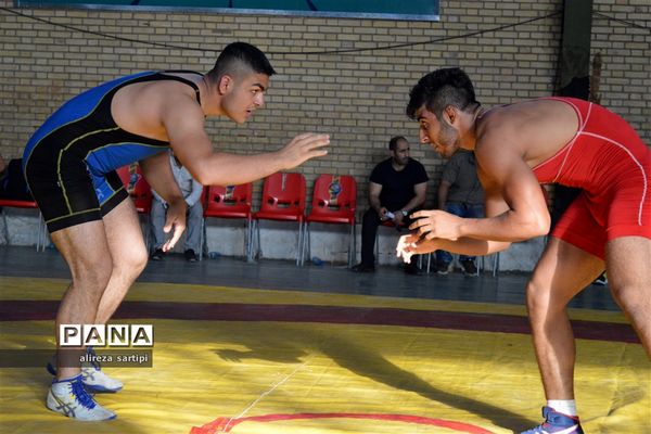 برگزاری مسابقات کشتی آزاد جوانان شهرقدس