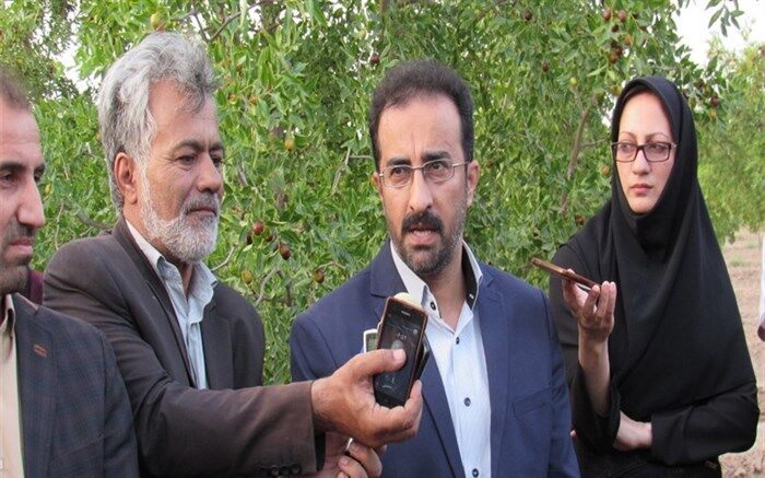 ظرفیت ها و چالش های کشاورزی در کنار هم مورد توجه قرار گیرد