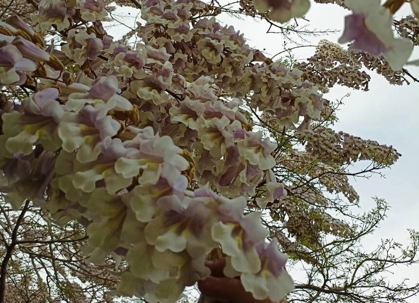 مدادی با جوهر جان برای ایران؛ «حب الوطن من الایمان»