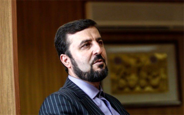 تاکید نمایندگان دائم ایران و برزیل در وین بر رایزنی و همکاری‌های مشترک در چارچوب سازمان ملل متحد