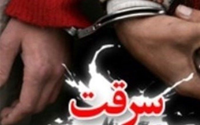 سارق حرفه‌ای در گنبدکاووس دستگیر شد