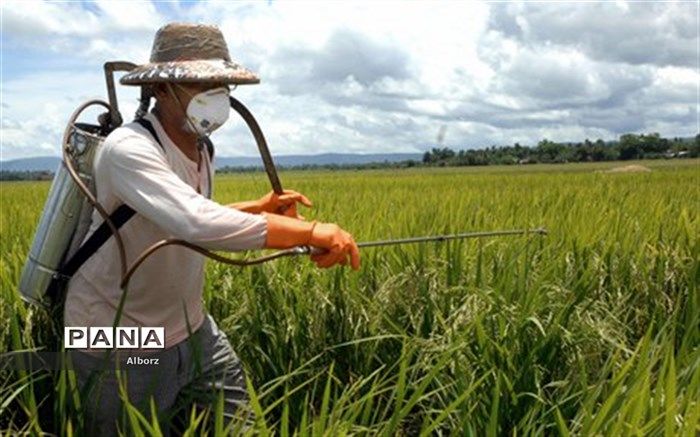 واردات سموم شیمیایی بی کیفیت خارجی عامل آسیب محصولات کشاورزی و باغی