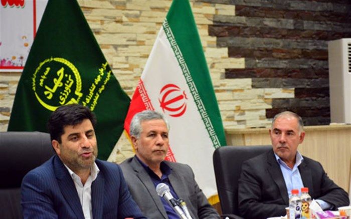 فتحی: صندوق ضمانت تسهیلات بانکی برای تضامن بانکی کشاورزان، فرصت بزرگی برای بهره برداران است