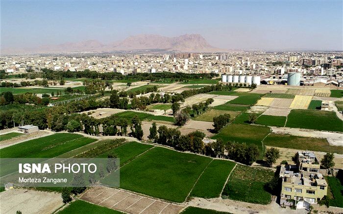 اصفهانی‌ها آب ندارند، اما شالیزار چرا! + تصاویر