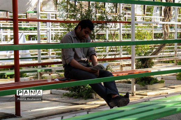 دور از عرفات، در جوار شهدا