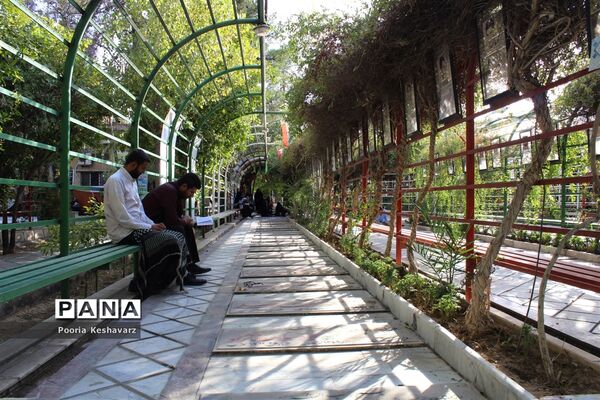 دور از عرفات، در جوار شهدا
