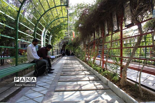 دور از عرفات، در جوار شهدا