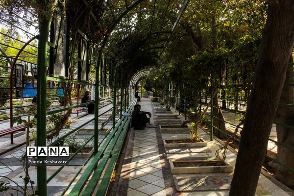 دور از عرفات، در جوار شهدا