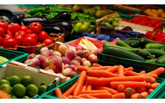 سخنگوی سازمان تعزیرات حکومتی :‌ برخی میوه‎ها در میادین بزرگ ۷ بار دست به دست می‎شوند