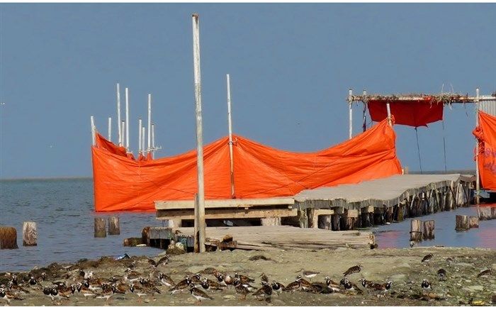 نظارت مستمر بازرسان بهداشت محیط بر کیفیت آب شناگاه‌ها