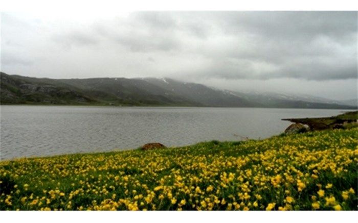 احیای دریاچه نئور در اولویت قرار می‌گیرد