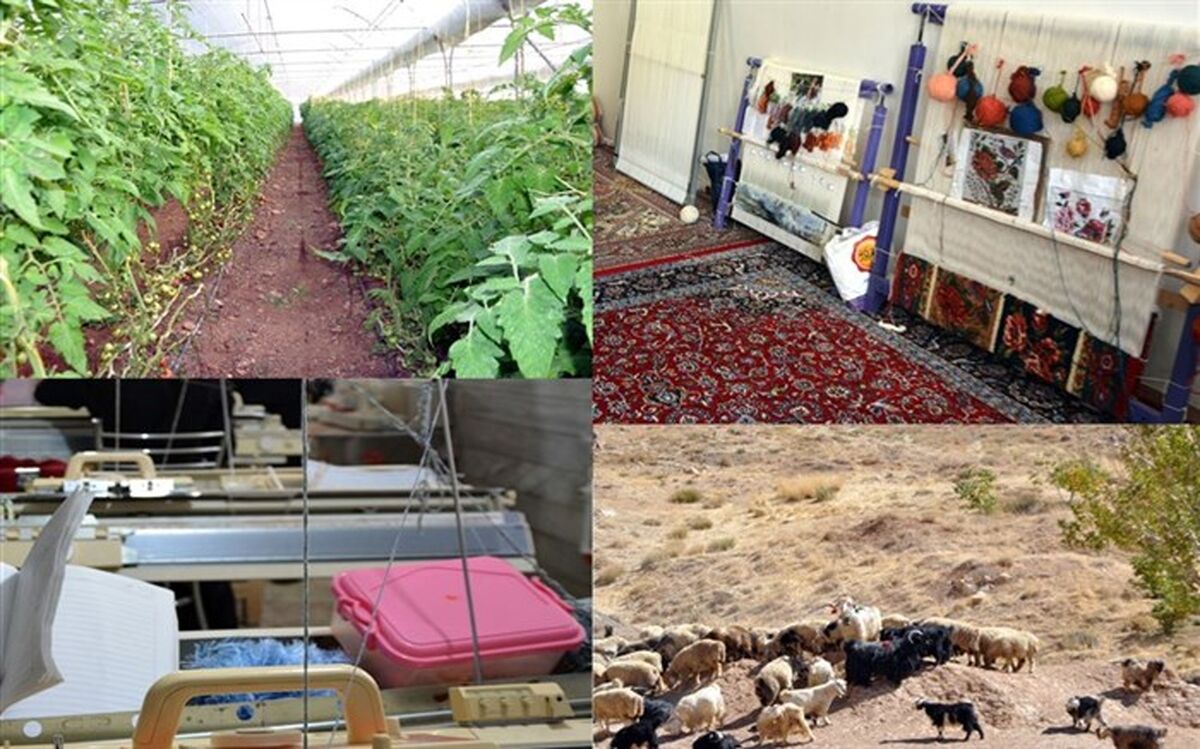 آذربایجان غربی رتبه نخست پرداخت تسهیلات اشتغال روستایی را کسب کرد