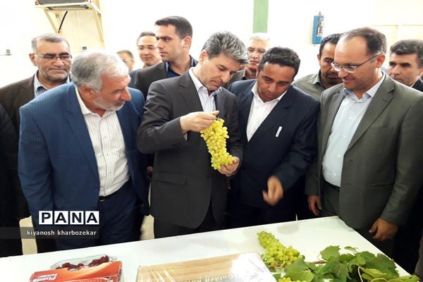 افتتاح و بازدید از طرح های بخش کشاورزی  جهاد کشاورزی آذربایجان غربی