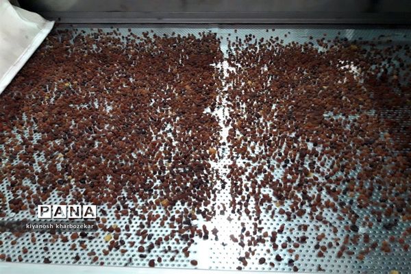 افتتاح و بازدید از طرح های بخش کشاورزی  جهاد کشاورزی آذربایجان غربی