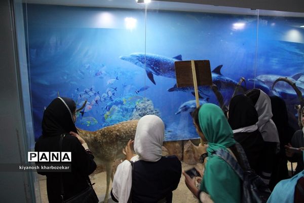 بازدید دانش آموزان همیار مشاور دختر از موزه تاریخ طبیعی ارومیه