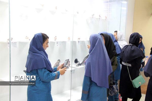 بازدید دانش آموزان همیار مشاور دختر از موزه تاریخ طبیعی ارومیه