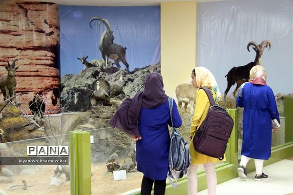 بازدید دانش آموزان همیار مشاور دختر از موزه تاریخ طبیعی ارومیه