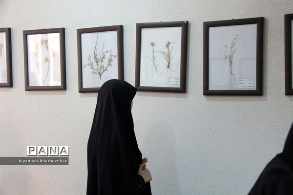 بازدید دانش آموزان همیار مشاور دختر از موزه تاریخ طبیعی ارومیه