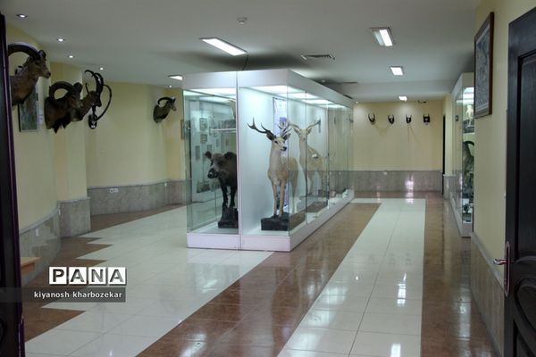 بازدید دانش آموزان همیار مشاور دختر از موزه تاریخ طبیعی ارومیه