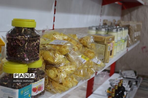 برگزاری نمایشگاه کالای ایرانی در مجتمع فرهنگی کربلا