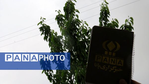 غافلگیری شهر بن از طرف آسمان