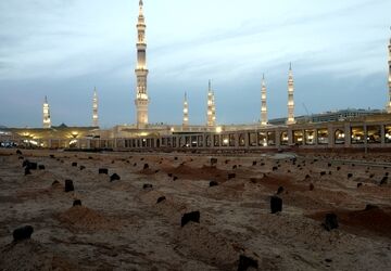 هر قدم در مدینه، روایتِ یک دلتنگی است